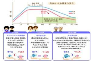 骨密度骨量