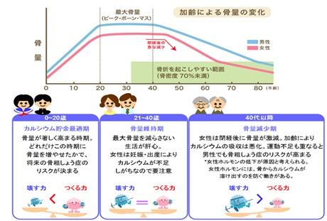 骨密度骨量